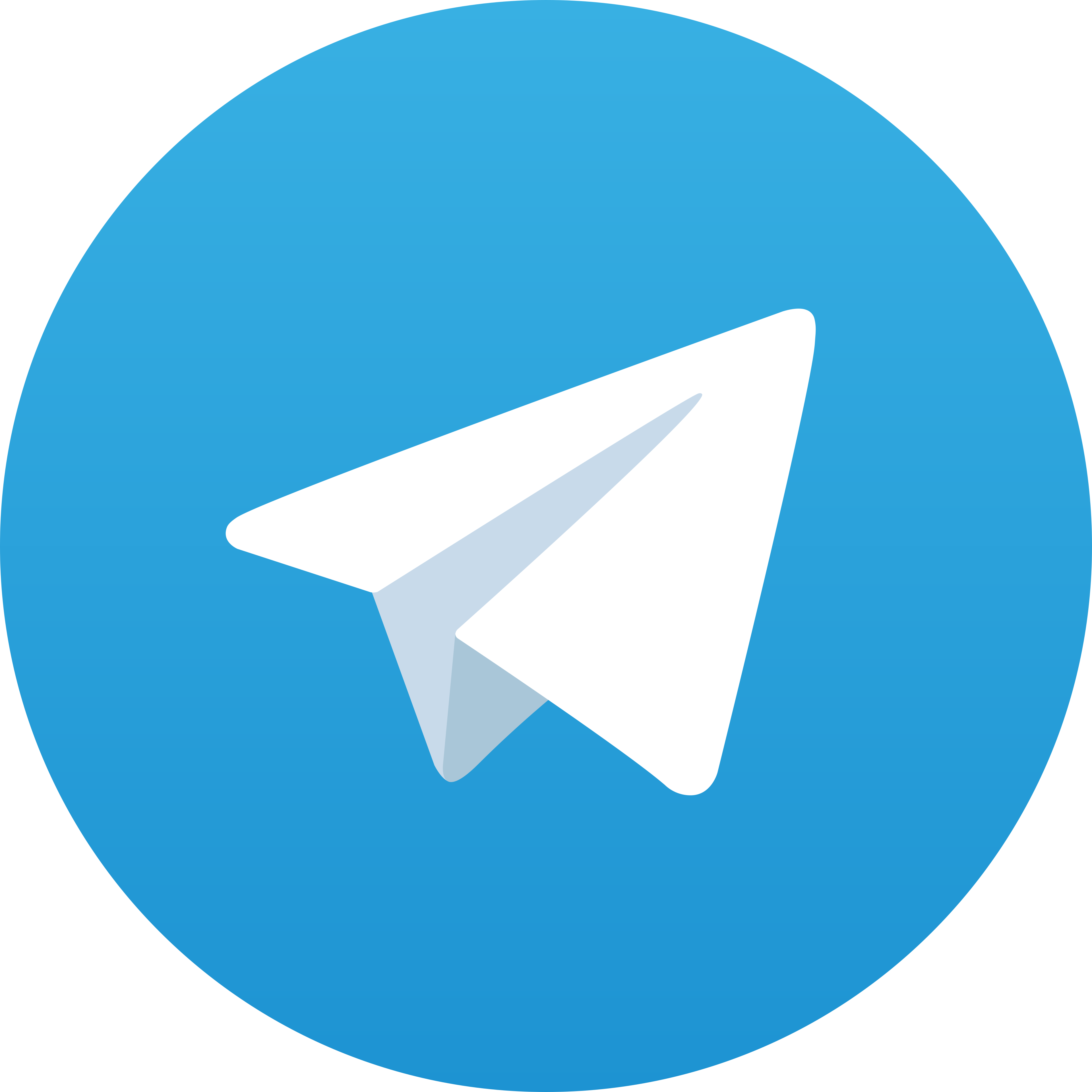 Telegram Ais3D